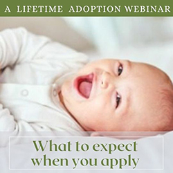 Webinar graphic: what to expect when you apply